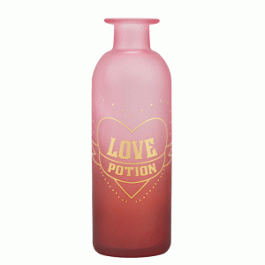 VAHP01 Potion Vase Glass 16cm Harry Potter Love Potion